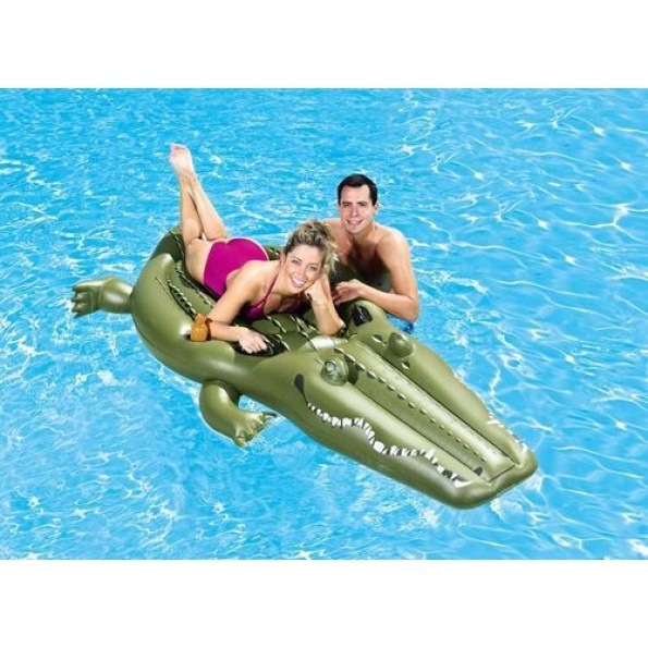 Crocodile 2.59m x 1.04m